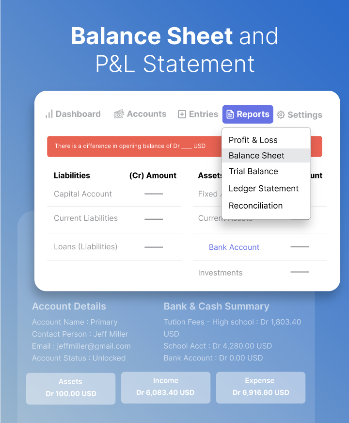 Balance Sheet & P&L Statement